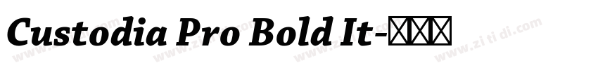 Custodia Pro Bold It字体转换